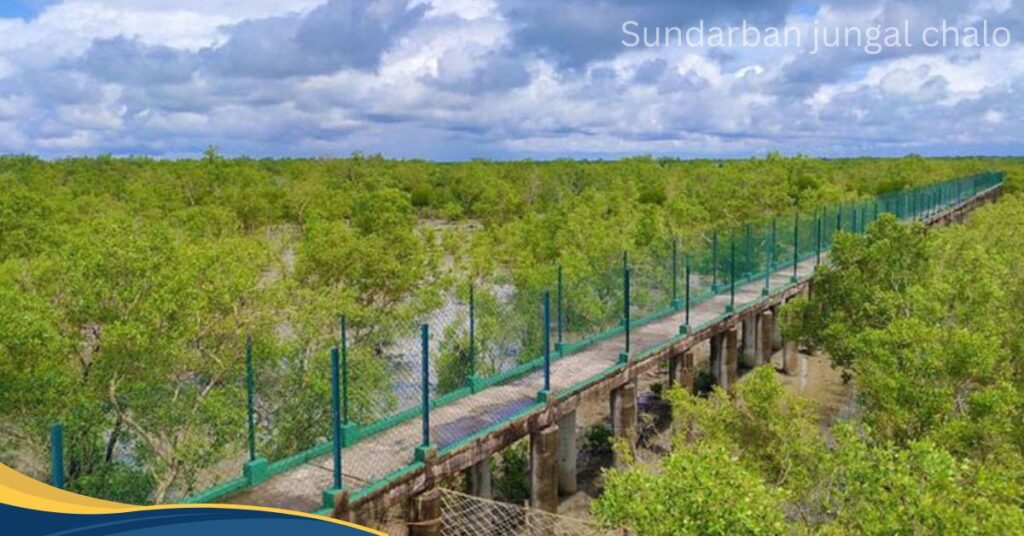 Sundarban tour